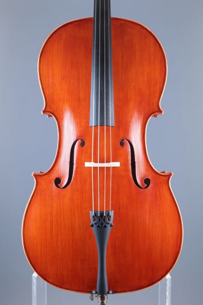 Klotz Julia - Mittenwald Anno 2026 - Palmkatzl - C-436