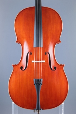 Klotz Julia - Mittenwald Anno 2026 - Palmkatzl - C-436